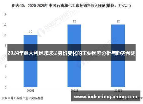 2024年意大利足球球员身价变化的主要因素分析与趋势预测
