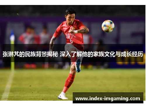 张琳芃的民族背景揭秘 深入了解他的家族文化与成长经历