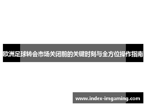 欧洲足球转会市场关闭前的关键时刻与全方位操作指南